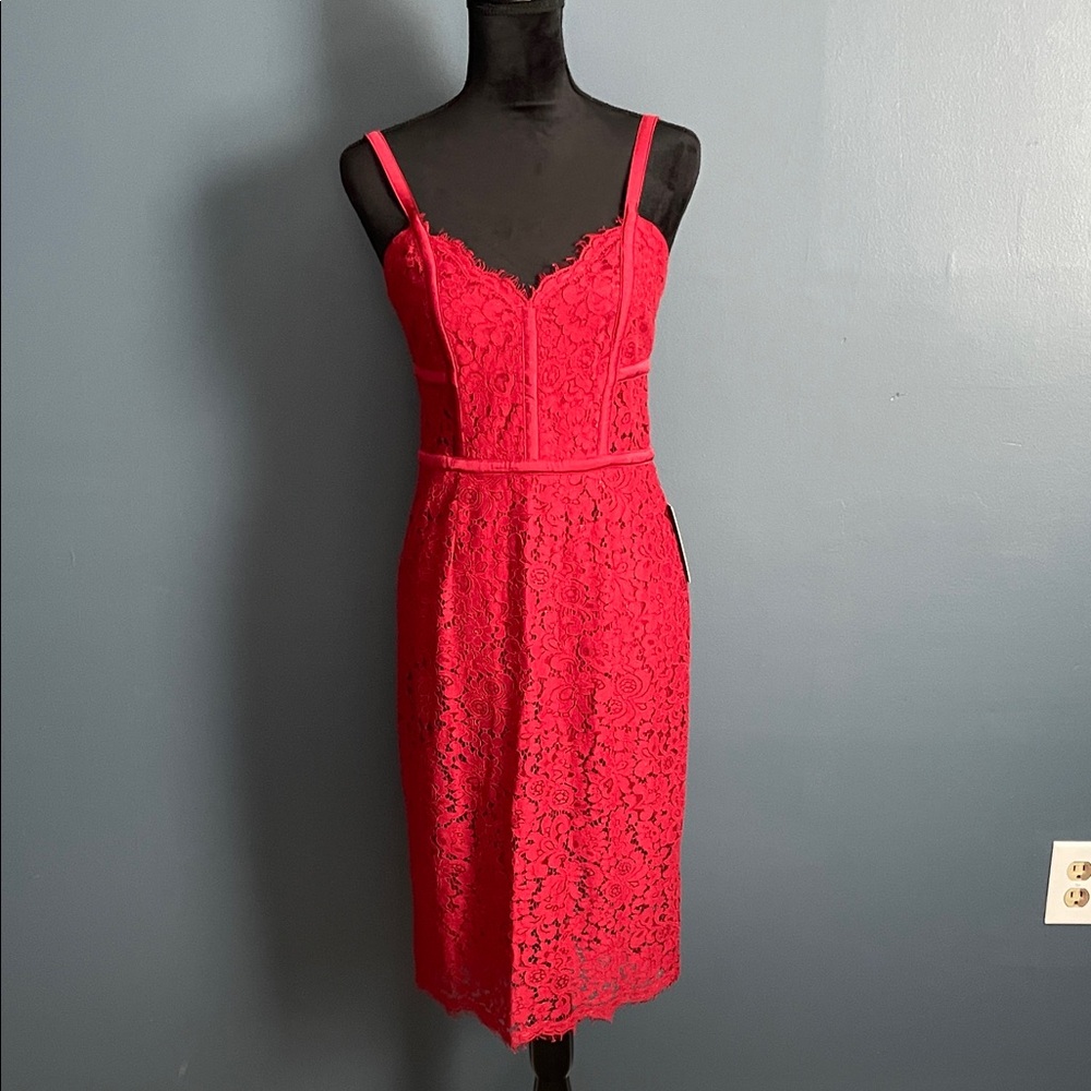 Express Vibrant Red Lace Midi Dress